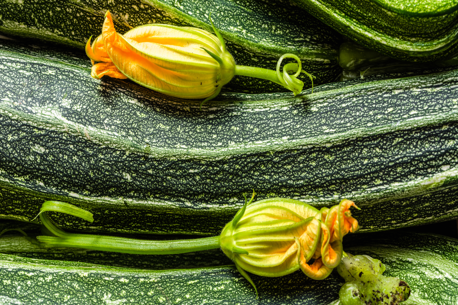 Arriva la stagione delle zucchine!